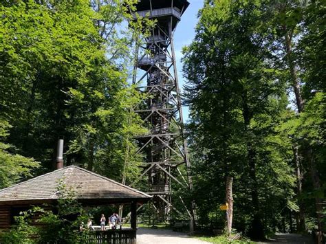 Loorenkopf observation tower Routes for Walking and Hiking